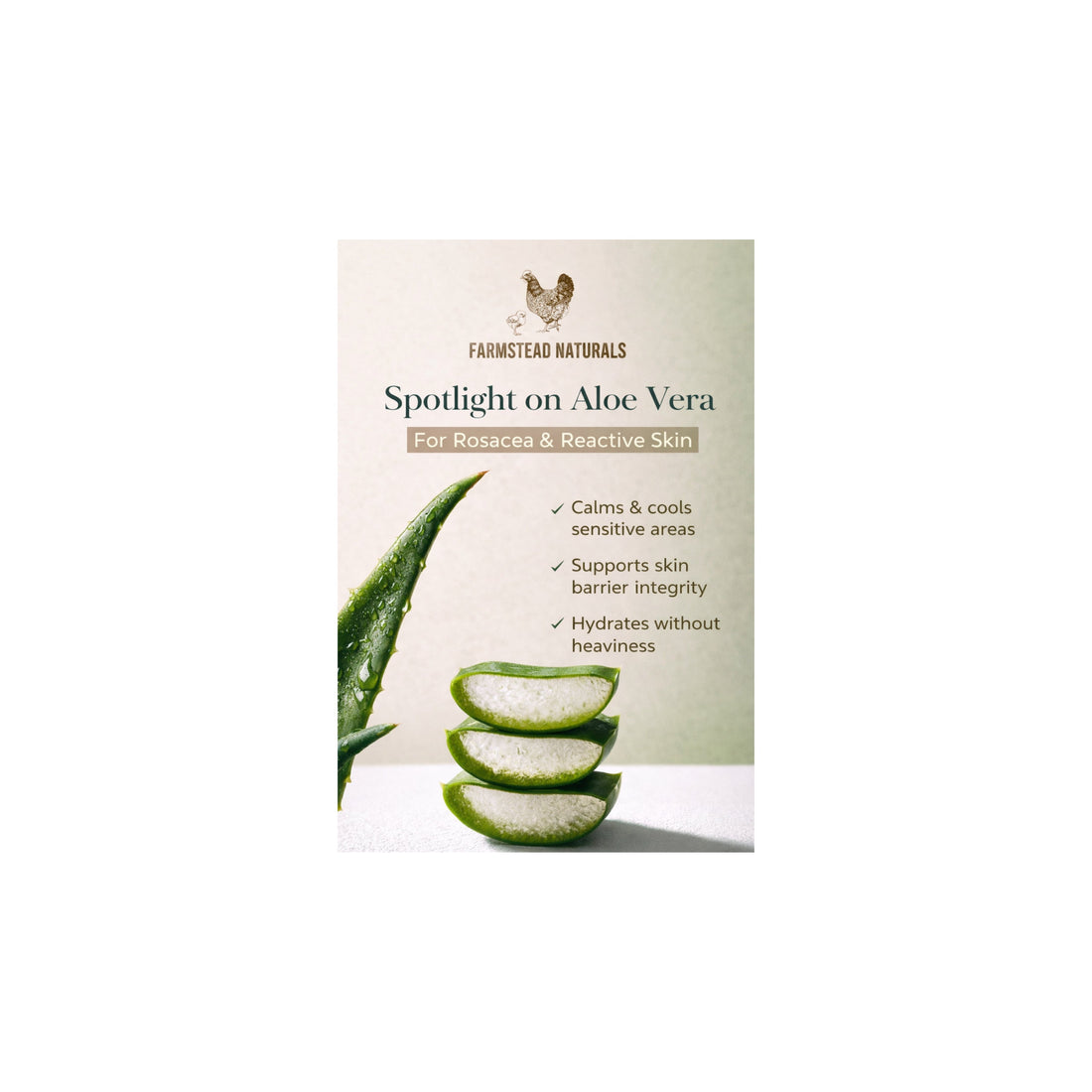 Spotlight on Aloe Vera: Why It’s a Hero Ingredient for Calm, Reactive Skin